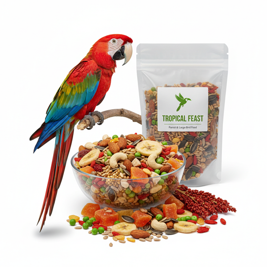 Alimento para loros y aves tropicales